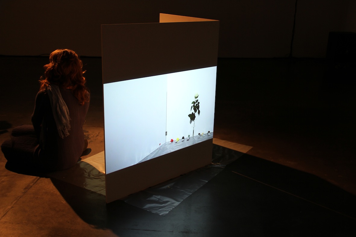 Installation with video projection