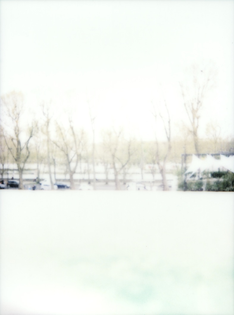 polaroid_8